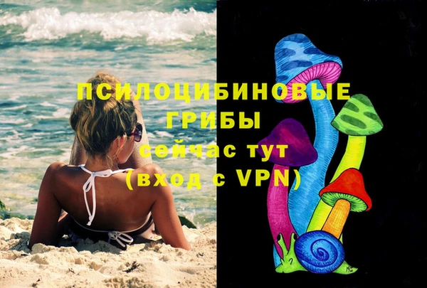 круглые Алзамай