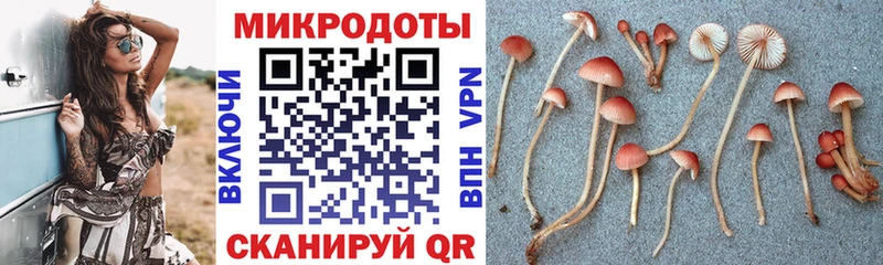 Галлюциногенные грибы Psilocybe  где можно купить наркотик  Апрелевка 