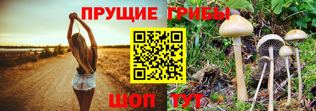 Галлюциногенные грибы Magic Shrooms Апрелевка