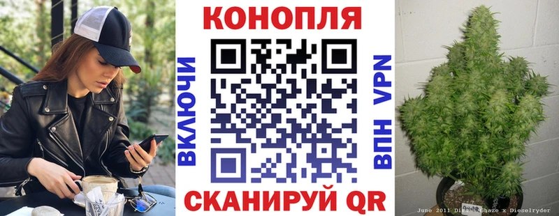 Конопля OG Kush  Апрелевка 